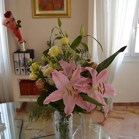 B&B Mercurio